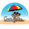 Beach Buddies Animal Hospital