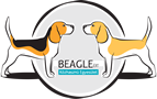 Beagle Fajtamentés