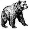 Bear's Lair II
