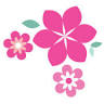 Beautysalon Mooi Verzorgd