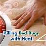 BedBug Chasers