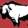 Beefalo Meats
