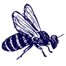 Bee Wild Farm