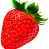 Beggs Berry World