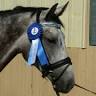 Beland Stables Inc