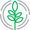 Believe Botanicals