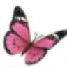 BELLEZZA MEDICAL AESTHETICS, PLLC