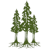 Roots Dental