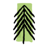 Evergreen Kids Corner