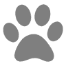 Beloved Pet Cremations, LLC