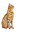 Cat World