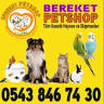 Bereket petshop