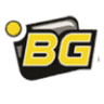 BG ELEKTRONIK
