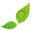 Bielenda