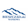 Bieszczad ski Wańkowa Noclegi