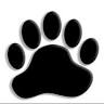 Big Bear Cabin Rentals | Franklin NC