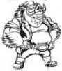 Big Boar Cycles