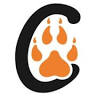 Big Cats India - Big Cats & Tiger Safari in India
