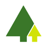 Big Creek Lumber