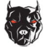 Big Dog Outfitters