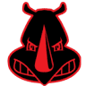 Big Rhino Crane Hire Pty Ltd
