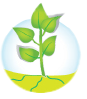 bioag energy services