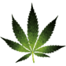 BiomedRx CBD