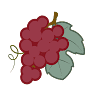 BioVignes