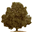 Birch Hill Happenings Aromatherapy, LLC