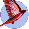 Bird-Shop