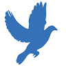 Repelentes para pombos - Gel Bird-free-Portugal