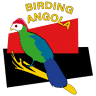 Kinjila (Birding hotspot)