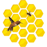 For the Birds and Bees