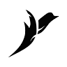 bird your house