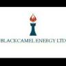 Black Camel Energy Limited