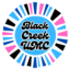 Black Creek Church