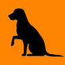 Black Dog Fencing