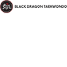 BLACK DRAGON TAEKWONDO | KATY CHILD CARE CENTER