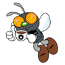 Black Fly Coffee Co.