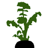 Black Radish Catering