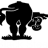 Black Steer