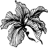 Blomster Bek