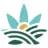 Bloomery Cannabis - New Buffalo