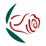 Bloomex Quebec City Flowers & Gift Baskets