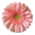 Blooms By Marie