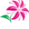 Blossoms and Blooms Florist and Gifts