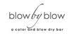 Blow By Blow : a color and blow dry bar