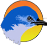 Blue Bird Cab Tri Valley CA
