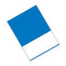 Blue Chip Painting Inc.