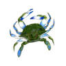Blue Crab Self Storage LLC